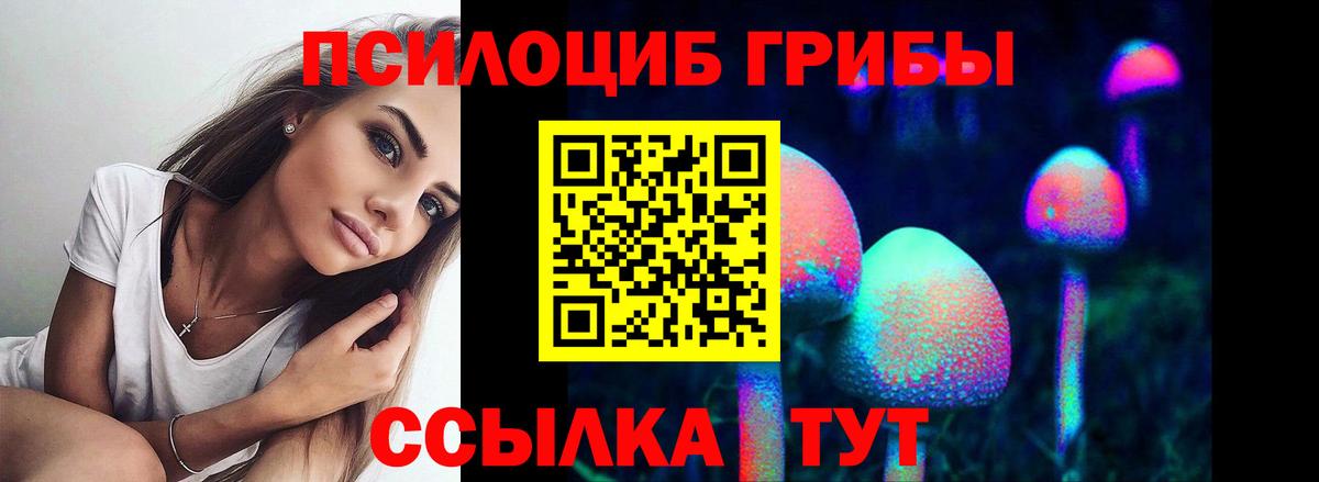 Псилоцибиновые грибы Psilocybine cubensis  Вход с VPN  Псилоцибиновые грибы Psilocybe  Похвистнево 